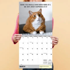 Time Factory Corporate Cats Funny 2026 Wall Calendar -Hallmark Store Corporate Cats Funny 2026 Wall Calendar 261005 03