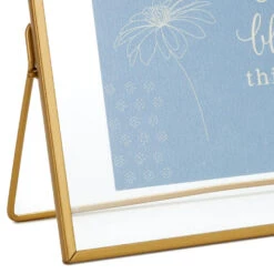 Hallmark DaySpring Season Of Life Floating Framed Sentiment 9 Hallmark DaySpring Season Of Life Floating Framed Sentiment -Hallmark Store DaySpring Season of Life Floating Framed Sentiment 1REL2045 04