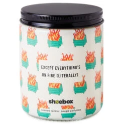 Hallmark Dumpster Fire Everything's Fine Scented Single-Wick Jar Candle, 7 Oz. 10 Hallmark Dumpster Fire Everything's Fine Scented Single-Wick Jar Candle, 7 Oz. -Hallmark Store Dumpster Fire Everythings Fine Scented Jar Candle 1FCD1016 03