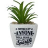 Faux Potted Succulent With Encouraging Message 2 Faux Potted Succulent With Encouraging Message -Hallmark Store Faux Potted Succulent Encouragement Gift 281000024 01