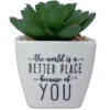 Faux Potted Succulent With Complimentary Message 1 Faux Potted Succulent With Complimentary Message -Hallmark Store Faux Potted Succulent Encouragement Gift 281000036 01
