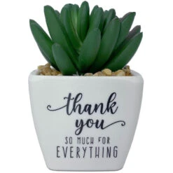 Faux Potted Succulent With Thank-You Message