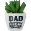 Faux Potted Succulent With Dad Message -Hallmark Store Faux Potted Succulent for Dad 281000005 01