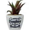 Faux Potted Succulent With Daughter Message -Hallmark Store Faux Potted Succulent for Daughter 281000009 01