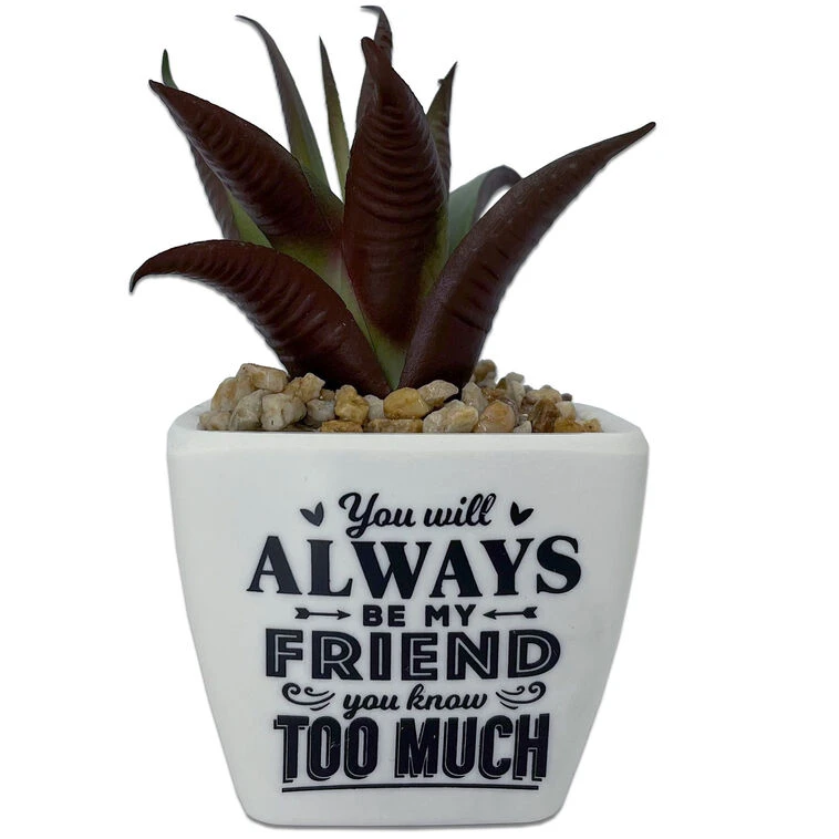 Faux Potted Succulent With Funny Friend Message 3 Faux Potted Succulent With Funny Friend Message