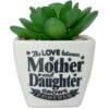 Faux Potted Succulent With Mom And Daughter Message 1 Faux Potted Succulent With Mom And Daughter Message -Hallmark Store Faux Potted Succulent for Mom or Daughter 281000008 01