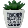 Faux Potted Succulent With Teacher Message 1 Faux Potted Succulent With Teacher Message -Hallmark Store Faux Potted Succulent for Teacher 281000017 01