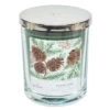 Fresh Pine Scented 3-Wick Candle, 16 Oz. -Hallmark Store Fresh Pine and Birch 3Wick Jar Candle HMPINE 01