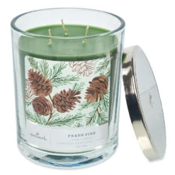 Fresh Pine Scented 3-Wick Candle, 16 Oz. 7 Fresh Pine Scented 3-Wick Candle, 16 Oz. -Hallmark Store Fresh Pine and Birch 3Wick Jar Candle HMPINE 03