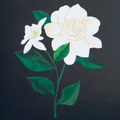 Hallmark Green And Light Blue Scalloped Square Picture Frame, 4x4 -Hallmark Store Green and Blue Scallop Edge Square Picture Frame 1ART1039 03