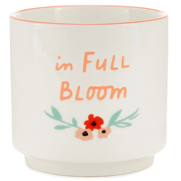 Hallmark In Full Bloom CeramicPlanter 3 Hallmark In Full Bloom CeramicPlanter