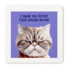 Hallmark Grumpy Kevin The Cat Photo Funny Coaster 2 Hallmark Grumpy Kevin The Cat Photo Funny Coaster -Hallmark Store Kevin the Cat Photo Wood and Cork Coaster 1SHX1012 01