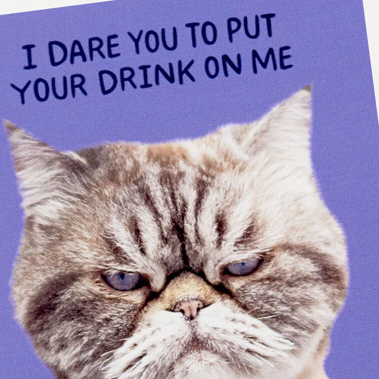Hallmark Grumpy Kevin The Cat Photo Funny Coaster 5 Hallmark Grumpy Kevin The Cat Photo Funny Coaster - Image 3
