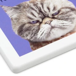 Hallmark Grumpy Kevin The Cat Photo Funny Coaster 9 Hallmark Grumpy Kevin The Cat Photo Funny Coaster -Hallmark Store Kevin the Cat Photo Wood and Cork Coaster 1SHX1012 04