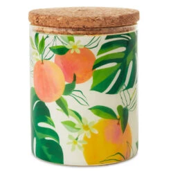 Hallmark Mandarin Orange And Grapefruit Scented 2-Wick Jar Candle, 14.5 Oz.