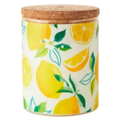 Hallmark Meyer Lemon And Lemon Zest Scented 2-Wick Jar Candle, 14.5 Oz.