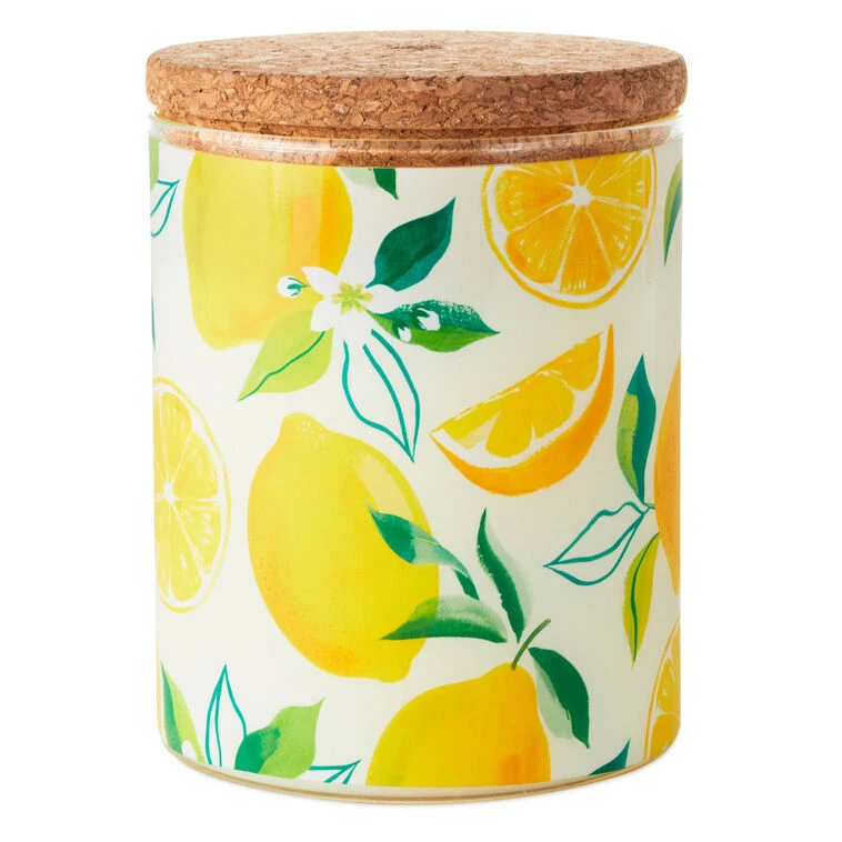 Hallmark Meyer Lemon And Lemon Zest Scented 2-Wick Jar Candle, 14.5 Oz. 3 Hallmark Meyer Lemon And Lemon Zest Scented 2-Wick Jar Candle, 14.5 Oz.