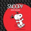 Peanuts Snoopy 2026 Wall Calendar -Hallmark Store Peanuts Snoopy Happy Dance 2026 Wall Calendar 9781524898458 01