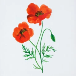 Hallmark Red And Cream Scalloped Square Picture Frame, 4x4 8 Hallmark Red And Cream Scalloped Square Picture Frame, 4x4 -Hallmark Store Red and Cream Scallop Edge Square Picture Frame 1ART1040 03