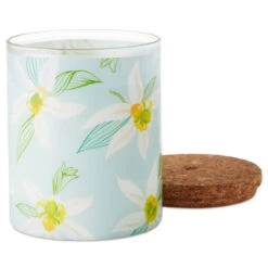 Hallmark Salted Vanilla And Sandalwood Scented 2-Wick Jar Candle, 14.5 Oz. -Hallmark Store Salted Vanilla and Sandalwood Scented Jar Candle 1CND1004 03