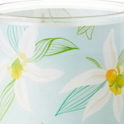 Hallmark Salted Vanilla And Sandalwood Scented 2-Wick Jar Candle, 14.5 Oz. -Hallmark Store Salted Vanilla and Sandalwood Scented Jar Candle 1CND1004 05