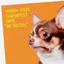 Hallmark Scared Chihuahua Photo Funny Coaster -Hallmark Store Scared Chihuahua Photo Wood and Cork Coaster 1SHX1015 03