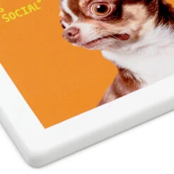 Hallmark Scared Chihuahua Photo Funny Coaster -Hallmark Store Scared Chihuahua Photo Wood and Cork Coaster 1SHX1015 04