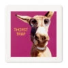 Hallmark Smiling Donkey Photo Funny Coaster 1 Hallmark Smiling Donkey Photo Funny Coaster -Hallmark Store Smiling Donkey Photo Wood and Cork Coaster 1SHX1013 01