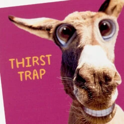 Hallmark Smiling Donkey Photo Funny Coaster -Hallmark Store Smiling Donkey Photo Wood and Cork Coaster 1SHX1013 03