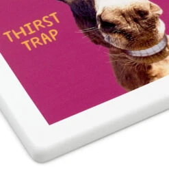 Hallmark Smiling Donkey Photo Funny Coaster -Hallmark Store Smiling Donkey Photo Wood and Cork Coaster 1SHX1013 04