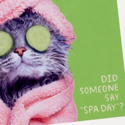 Hallmark Pampered Cat Photo Funny Coaster -Hallmark Store Spa Cat Photo Wood and Cork Coaster 1SHX1014 03