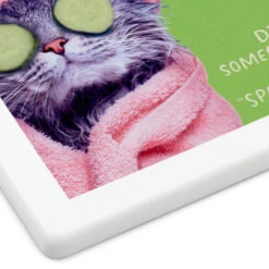 Hallmark Pampered Cat Photo Funny Coaster -Hallmark Store Spa Cat Photo Wood and Cork Coaster 1SHX1014 04