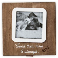 Hallmark Then, Now And Always Pet Memory Box -Hallmark Store Then Now and Always Pet Memory Box 1BMK1626 04