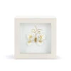 Demdaco Love From Above White And Gold Butterfly Small Shadow Box, 4" -Hallmark Store White and Gold Butterfly in White Shadow Box 1004920028 01